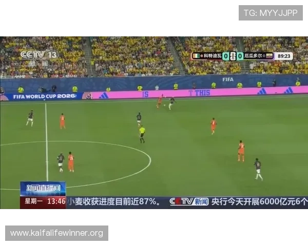 世界杯科特迪瓦与厄瓜多尔球迷活动精彩瞬间集锦及背后故事深度报道